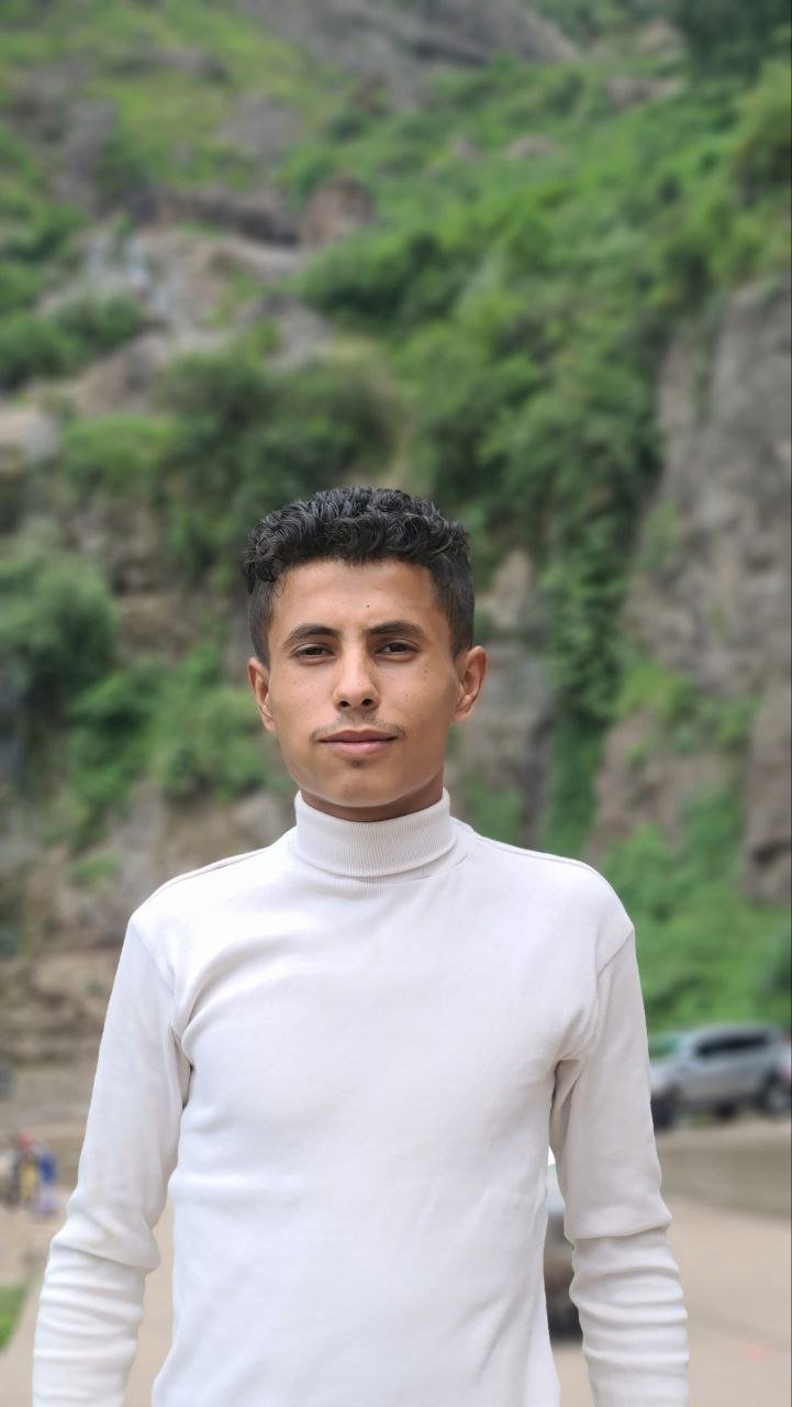 المهندس محمد